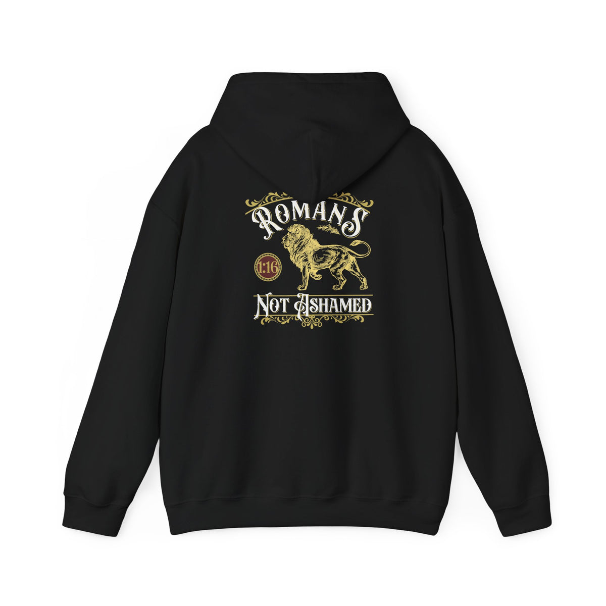 Romans 1:16 Hoodie