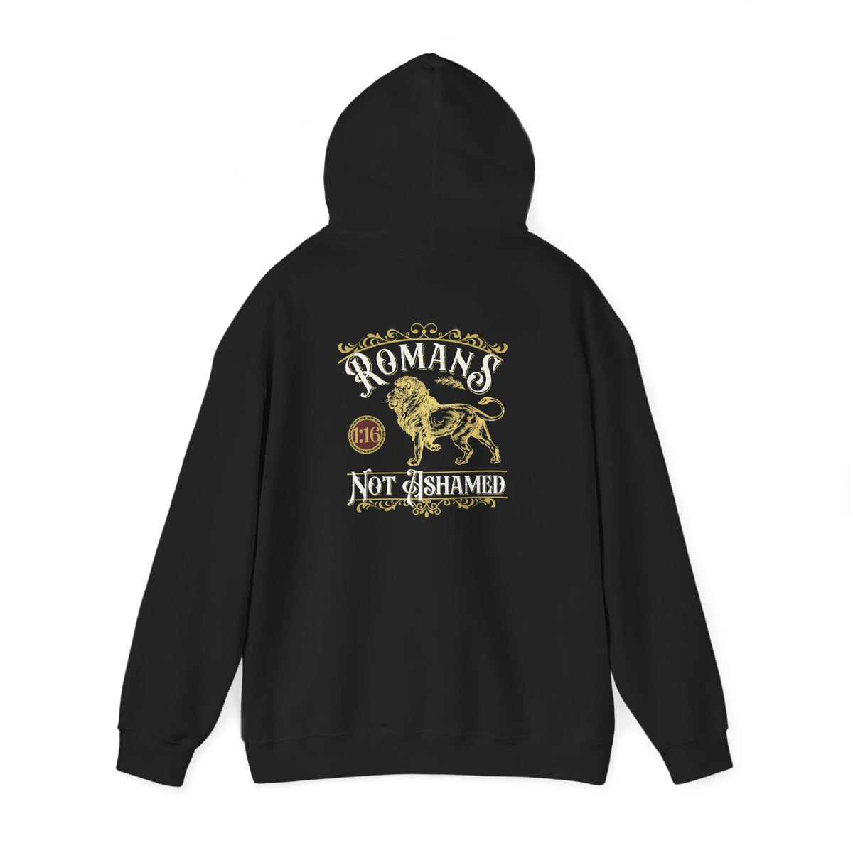 Romans 1:16 Hoodie