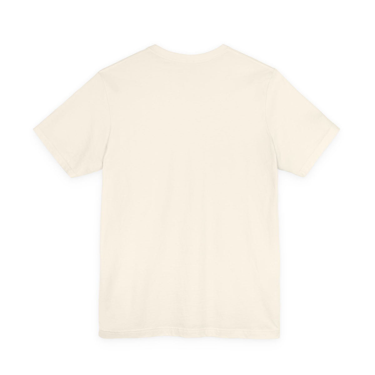 Genesis Flood — Genesis 9:13 Tee