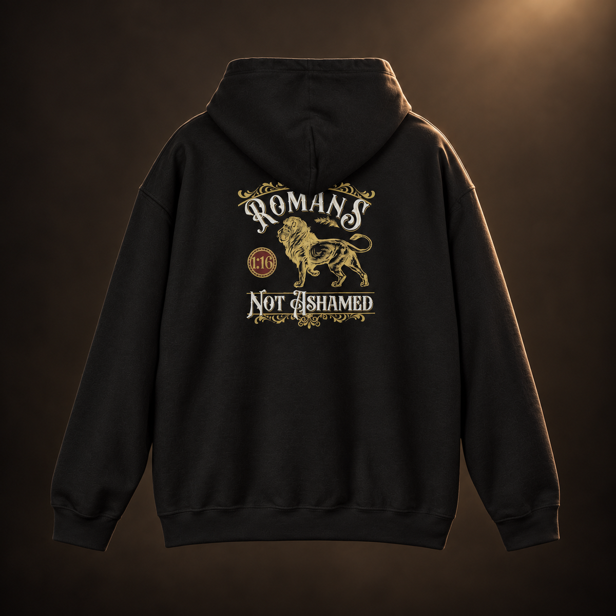 Romans 1:16 Hoodie